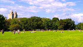 The Great Lawn