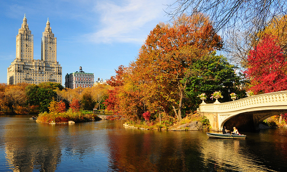 Bow Bridge in Central Park overlooking lake with buildings in the background