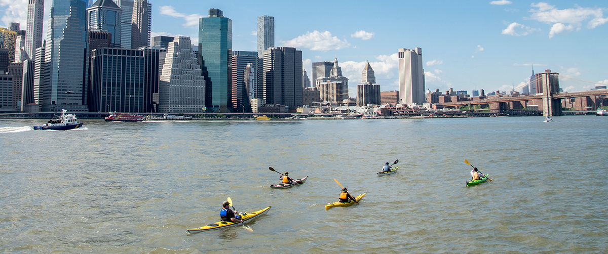 multiple people in kayaks paddle out in NYC