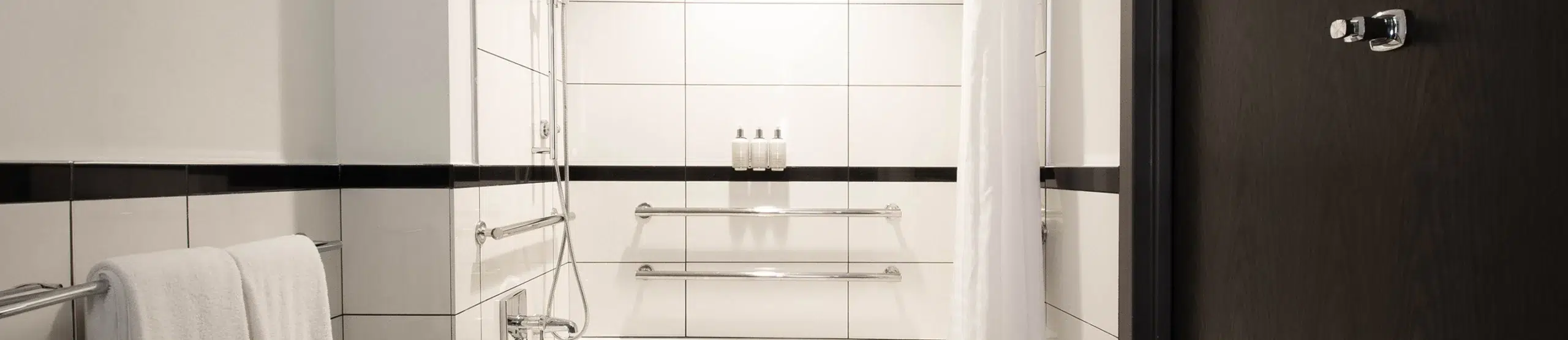Accessible Classic King bathroom with roll-in shower and grab rails