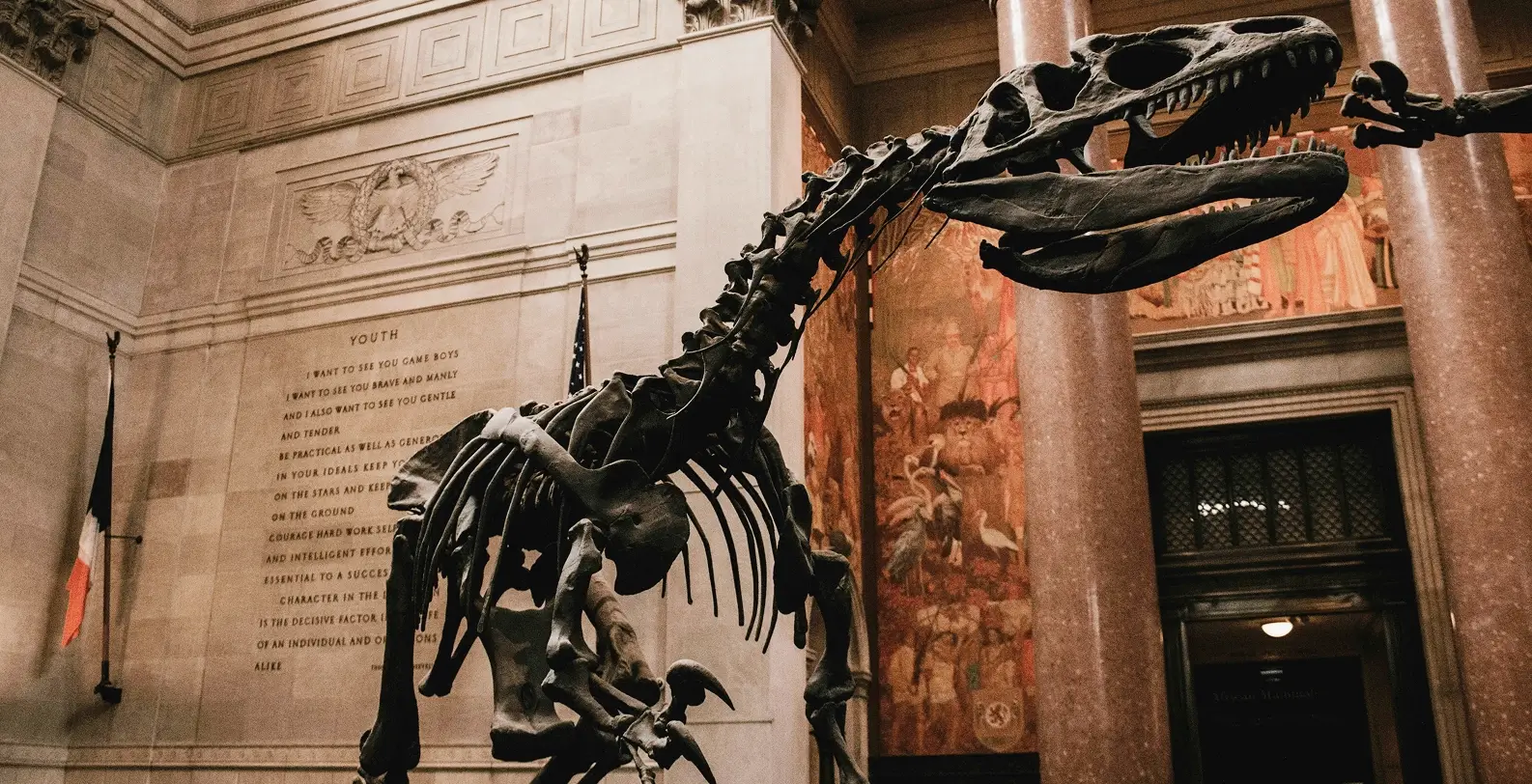 Natural History Museum