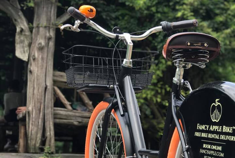 Pedal The City